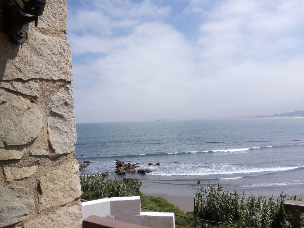 Pinguino En La Roca - Lodge Vina del Mar Extérieur photo